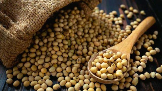 Grãos de soja (que é uma commodity agrícola) distribuídos sobre uma superfície de madeira e um montante em uma colher de pau.