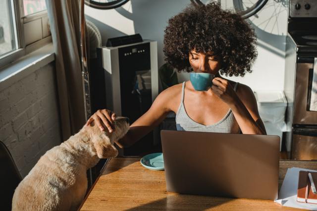 A foto mostra uma mulher, tomando chá, acariciando seu cachorro, em frente ao computador lendo sobre tipos de empresas para investir na bolsa de valores.